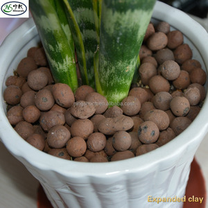 <span class=keywords><strong>Substrat</strong></span> moderne <span class=keywords><strong>pour</strong></span> la floriculture, argile expansée, galets de culture <span class=keywords><strong>pour</strong></span> l'aquaponie et l'utilisation en jardinage - Product Image 5