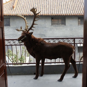 Décorations de Noël de cour de cerf grandeur nature renne Navidad modèle de cerf debout réaliste - Product Image 3