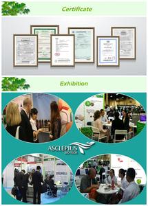 Tự nhiên althaea officinalis và althaea rosae chiết xuất từ rễ bột nhà máy chiết xuất từ Marshmallow gốc - Product Image 6