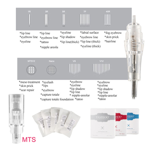 <span class=keywords><strong>Agujas</strong></span> <span class=keywords><strong>de</strong></span> tatuaje Microblading <span class=keywords><strong>de</strong></span> acero inoxidable desechables <span class=keywords><strong>para</strong></span> máquina <span class=keywords><strong>de</strong></span> maquillaje <span class=keywords><strong>de</strong></span> cejas característica permanente cartuchos <span class=keywords><strong>de</strong></span> tatuaje desechables - Product Image 5