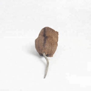 Personnalisé <span class=keywords><strong>Mickey</strong></span> Mouse Ornement Souris dans Santa Chapeau Ornement - Product Image 4
