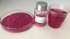 Vitaminas Certificadas de Alta Calidad, Polvo de Pitaya/Dragón Rojo Secado por Aspersión, Kosher, Halal, ISO - Product Image 5