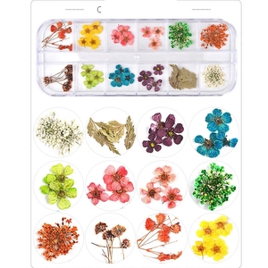 12 colores de <span class=keywords><strong>uñas</strong></span> de arte decoración de flor natural seca para UV gel acrílico - Product Image 2