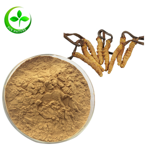 Extrait de Cordyceps Sinensis/extrait de Cordyceps <span class=keywords><strong>Mycelia</strong></span> 50% Polysaccharides à prix d'usine - Product Image 2