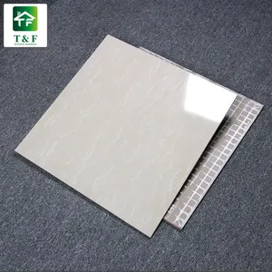 Germany 40x40 60x60 Polished Vitrified Soluble Salt Tiles High Glossy Porcelain Polished Floor Tiles