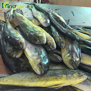 Venta caliente del precio bajo mariscos redondo entero congelado mahi 2 kg arriba - Product Image 2