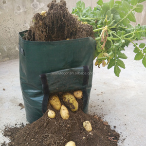 Sacs <span class=keywords><strong>de</strong></span> <span class=keywords><strong>culture</strong></span> pour légumes et pommes <span class=keywords><strong>de</strong></span> <span class=keywords><strong>terre</strong></span> <span class=keywords><strong>de</strong></span> jardin <span class=keywords><strong>de</strong></span> 10 gallons avec trappe d'accès - Product Image 4