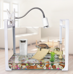 Acquario in Vetro <span class=keywords><strong>per</strong></span> Pesci e <span class=keywords><strong>Tartarughe</strong></span> con Piattaforma di Asciugatura, Vasca Rettangolare Piccola Bivalente <span class=keywords><strong>per</strong></span> Pesci, Acquario Bianco <span class=keywords><strong>per</strong></span> Acquacoltura 3L 4KG - Product Image 3