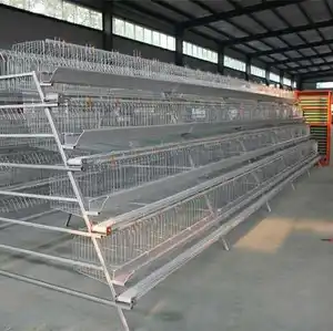 Cage de production d'œufs automatique pour poules, cage de volaille avec système de ligne d'alimentation