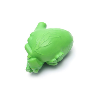 OEM Grosir Grosir Organ Badan Perut Medis Busa <span class=keywords><strong>Pu</strong></span> Bola Stres Paru-paru untuk Pendidikan Dini Anak-anak - Product Image 6