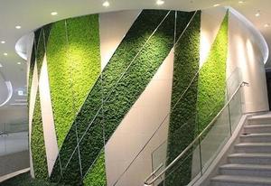 Grosir 500G Penggunaan Lumut Yang Diawetkan Tahan Lama untuk Membuat Dinding Lumut Yang Diawetkan Dinding Rumput Lumut Buatan untuk Dekorasi - Product Image 4