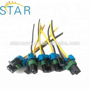 Injektor Bahan Bakar Diesel Otomotif Kabel Harness Rel Bahan Bakar dengan <span class=keywords><strong>2</strong></span> Pin Konektor Tahan Air Otomatis 10811963 - Product Image 2