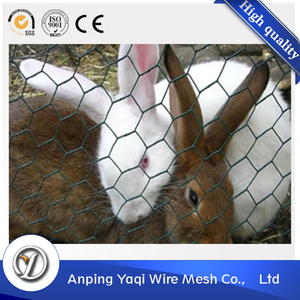Pour <span class=keywords><strong>La</strong></span> Volaille Net Et Poulet Coop 5/8 «Hexagonal Wire Mesh - Product Image 2