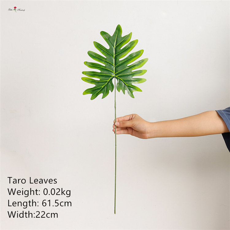 Taro Leaves