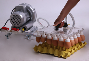 Levantador de huevos al vacío, ahorro de trabajo, conveniente, automático - Product Image 6