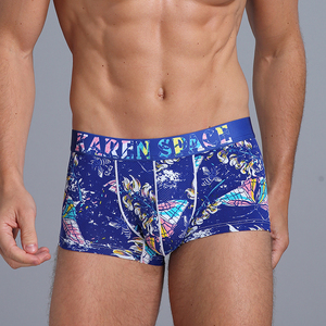 Garçon gay culotte garçon sexy caleçon gay pantalon garçons bikini slips hommes sexy culotte - Product Image 5