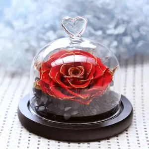 ガラスドームボックス包装でガラスローズに保存された赤いバラ