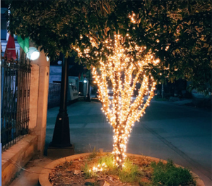 Goodland — lampe solaire imperméable à 100LED pour l'extérieur, série de lumières décoratives, lumière solaire, 12 mètres - Product Image 4