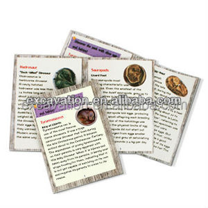 Đồ Chơi Hóa Thạch Trứng Khủng Long Khai Quật Khảo Cổ Học 3D Bằng Nhựa Thông Minh Bán Chạy Quà Tặng Sinh Nhật Cho Bé Trai 6 Tuổi - Product Image 6