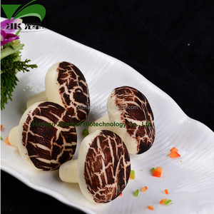 ติ่มซำจีนเห็ดช็อคโกแลตโปนึ่งขนมปังอาหารฮาลาล - Product Image 4