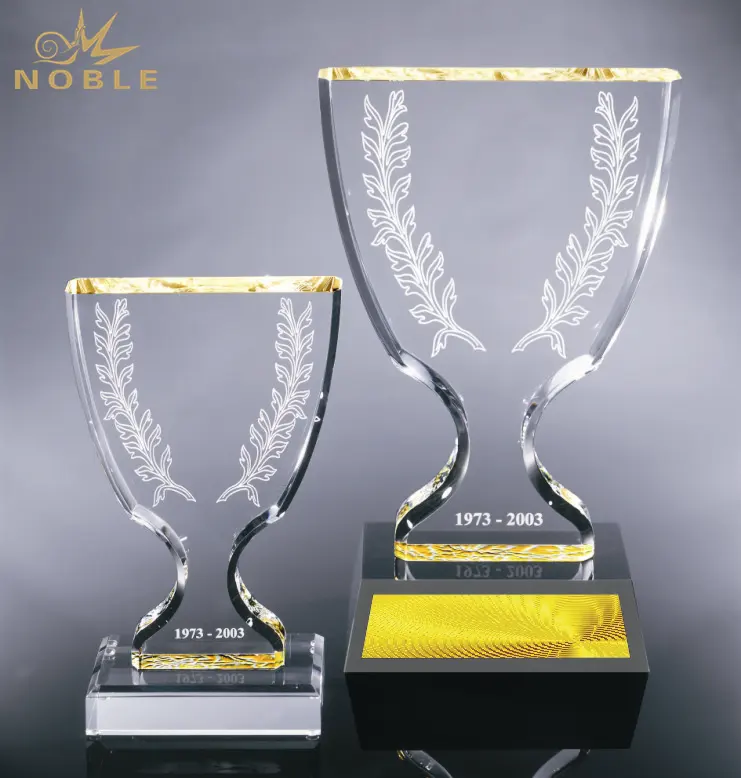 Traditionele Trophy Cup Vormige Acryl Award met Base