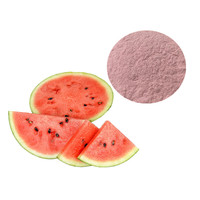 Poudre de pastèque naturelle de qualité alimentaire Longze Extrait de fruit de haute qualité de la culture sauvage emballé sous vide dans un tambour