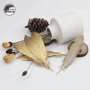 Plume d'oie dorée et argentée de haute qualité, 15-22CM pour décorations, accessoires de chapeau, bijoux, stylo à plume, vente en gros,