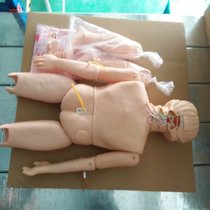Manichino Femminile ADA-H1 in PVC a Corpo Intero per Addestramento Infermieristico, Modello Anatomico Multifunzionale per Uso in Scuole di Medicina - Product Image 3