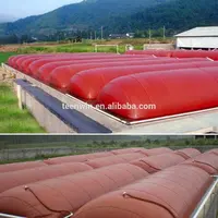 Teenwin - Biogas Plastic Bag Digester, Factory Price
