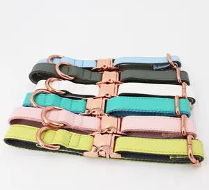 <span class=keywords><strong>Collar</strong></span> de Perro Grande de Piel Dorada - Product Image 1