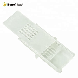 Gabbia per Ape Regina in Plastica in Offerta - Product Image 4