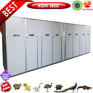 Incubateur à œufs <span class=keywords><strong>industriel</strong></span> entièrement automatique de grande capacité 50 000 œufs - Product Image 2