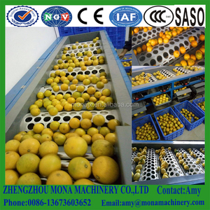 Máquina Profesional para Clasificar Cítricos | Máquina de Encerado para Cítricos y Manzanas | Máquina para Levantar, Limpiar y Secar Frutas - Product Image 4