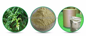Suplemento Alimenticio Protector del Hígado <span class=keywords><strong>Myrica</strong></span> <span class=keywords><strong>Rubra</strong></span> (Lour.) Zucc. Extracto de Té de Vid DMY 98% Dihidromiricetina en Polvo - Product Image 5