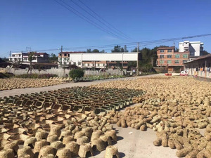 <span class=keywords><strong>Pet</strong></span> House Kleintier Hide-A-Way Hut - Product Image 5