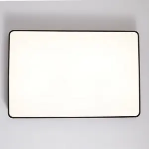 Led Light Design PUZHUOER Rectangular Ceiling Light 48W Simple Style Living Room Bedroom Study Dimmable Led Surface Ceiling Light