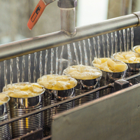 Ananas Inblikken Productielijn Motor Aangedreven Machine Voor Het Snijden En Verwerken Van Groenten En Fruit, Waaronder Tomaten