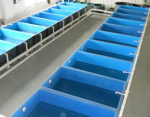 Bể Cá Bằng Sợi Thủy Tinh 10000 Lít Bể Cá, Bể Cá Đã Qua Sử Dụng Để Bán, Thiết Bị Nuôi Cá Ras