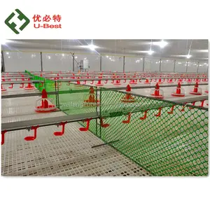 poultry farms automatic chicken water drink