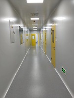 Salle Blanche Modulaire Moderne Norme GMP ISO 5-9 Classe Projets Outre-mer Solution Clé en Main Conception Personnalisée Laboratoires Hôpitaux Alimentation