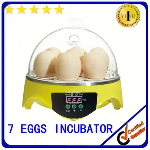 Ce type de famille petit poulet incubateur./mini incubateur pour le poulet