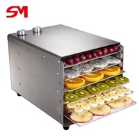 Meest wereld populaire internationale machine voor drogen mango