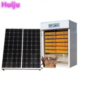 Poultry equipment chicken eggs incubator with inbuilt battery and inverter and solar panel