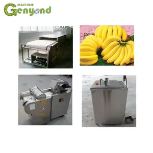 Banana Powder Spray Drying Machine/processing Plant