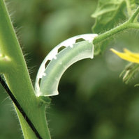 Venta Directa de Fábrica, Producto Agrícola de Plástico, Clip Fijador para Tallos de Frutas y Abrazadera de Media Luna para Tallos de Tomate