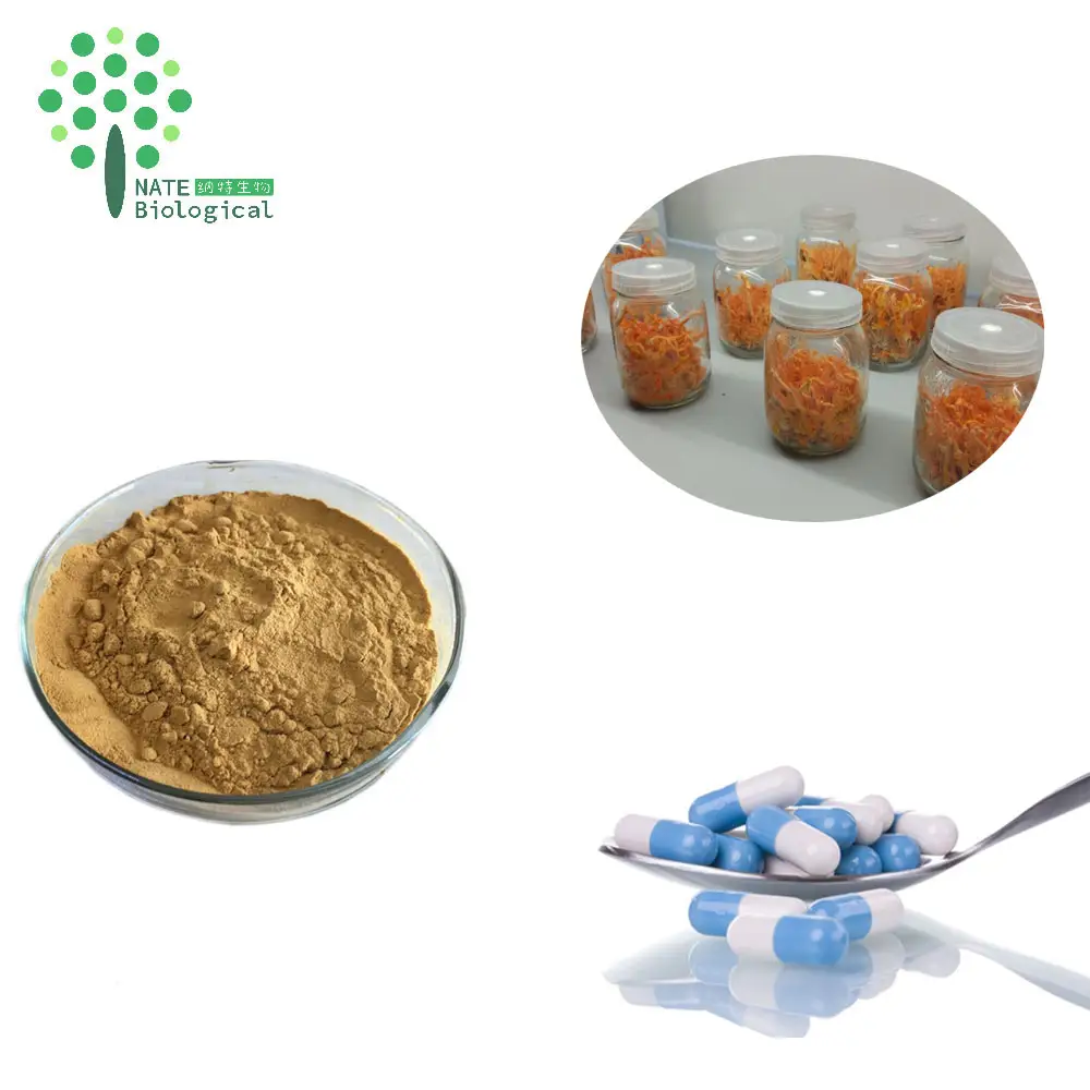 Organische Cordyceps Militaris Extract Cordycepin Prijs