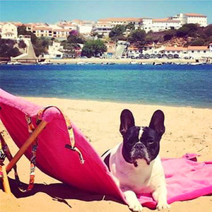 Khăn Tắm Biển Bán Chạy Mới Với Gậy Người Úc - Product Image 6