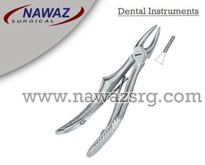Forceps manuels d'extraction dentaire de qualité supérieure, modèle Fig.137, en acier inoxydable, certifiés CE, instruments chirurgicaux personnalisés, vente chaude - Product Image 2