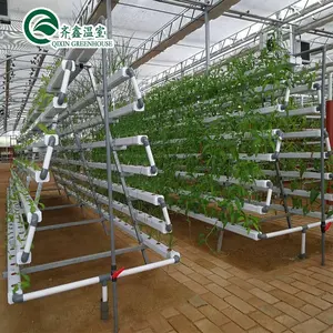 Sistema de hidroponia tipo a em greenhouse multi-span