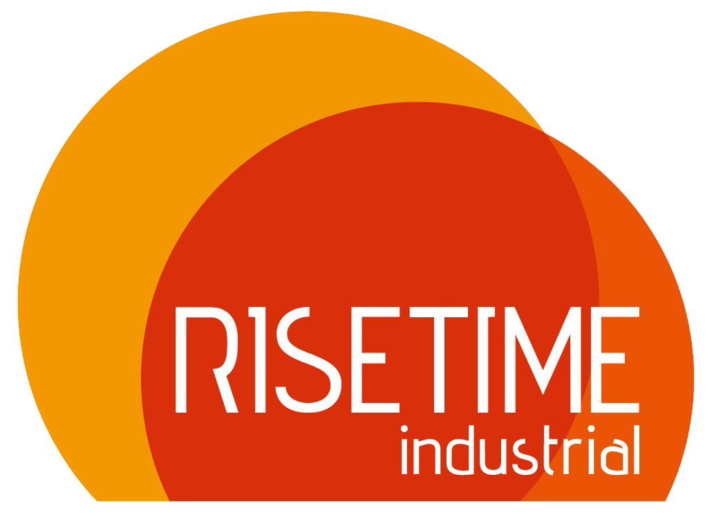 Rise Time Industrial Ltd. logo